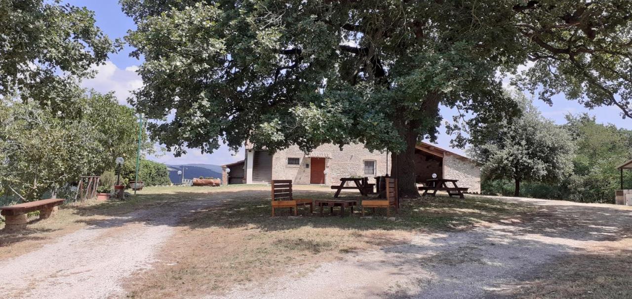 Casale Al Lago Con Piscina E Sauna Corbara (Umbria) Exterior foto