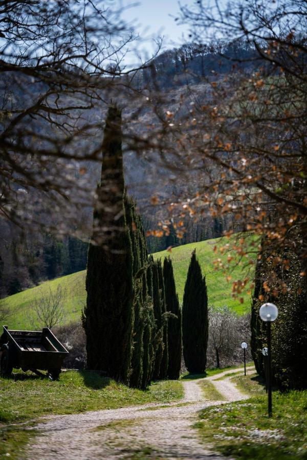 Casale Al Lago Con Piscina E Sauna Corbara (Umbria) Exterior foto