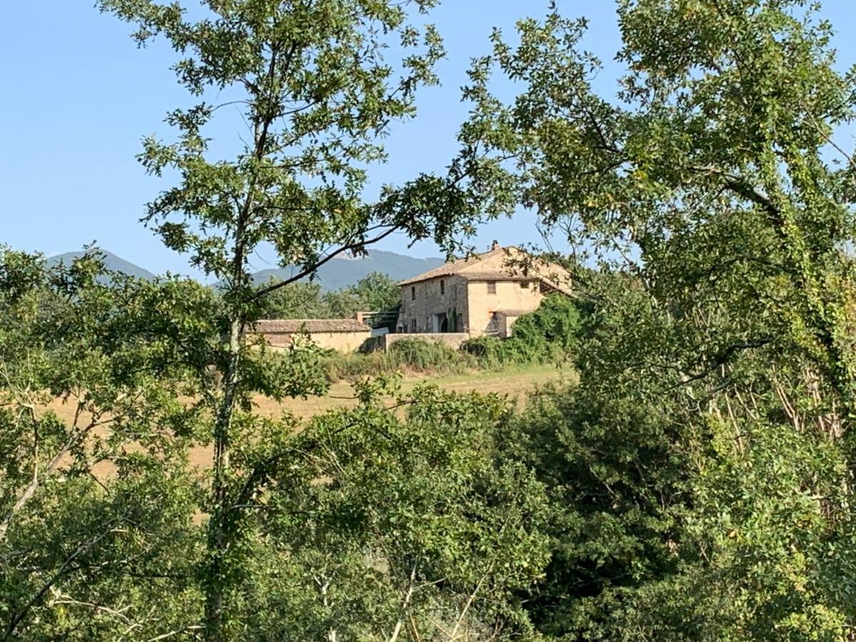 Casale Al Lago Con Piscina E Sauna Corbara (Umbria) Exterior foto
