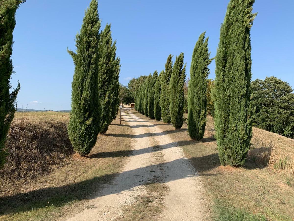 Casale Al Lago Con Piscina E Sauna Corbara (Umbria) Exterior foto