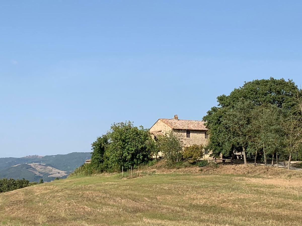 Casale Al Lago Con Piscina E Sauna Corbara (Umbria) Exterior foto