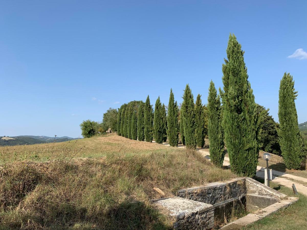 Casale Al Lago Con Piscina E Sauna Corbara (Umbria) Exterior foto